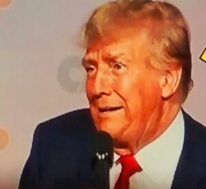 Double Days of Donald’s Disastrous Debacles