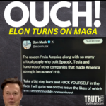 Full Blown MAGA Civil War